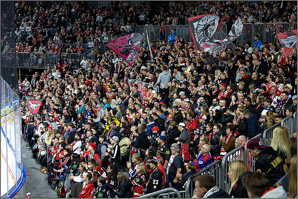 PENNY DEL;  Kölner Haie - ERC Ingolstadt; Köln, 25.11.2022